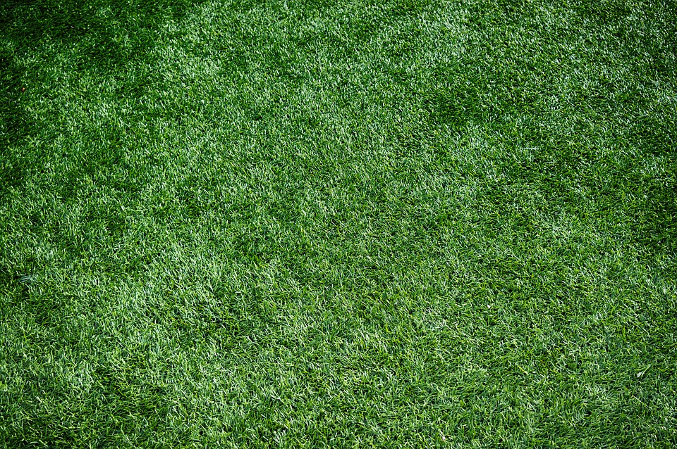 California Thieves Steal Artificial&nbsp;Lawn